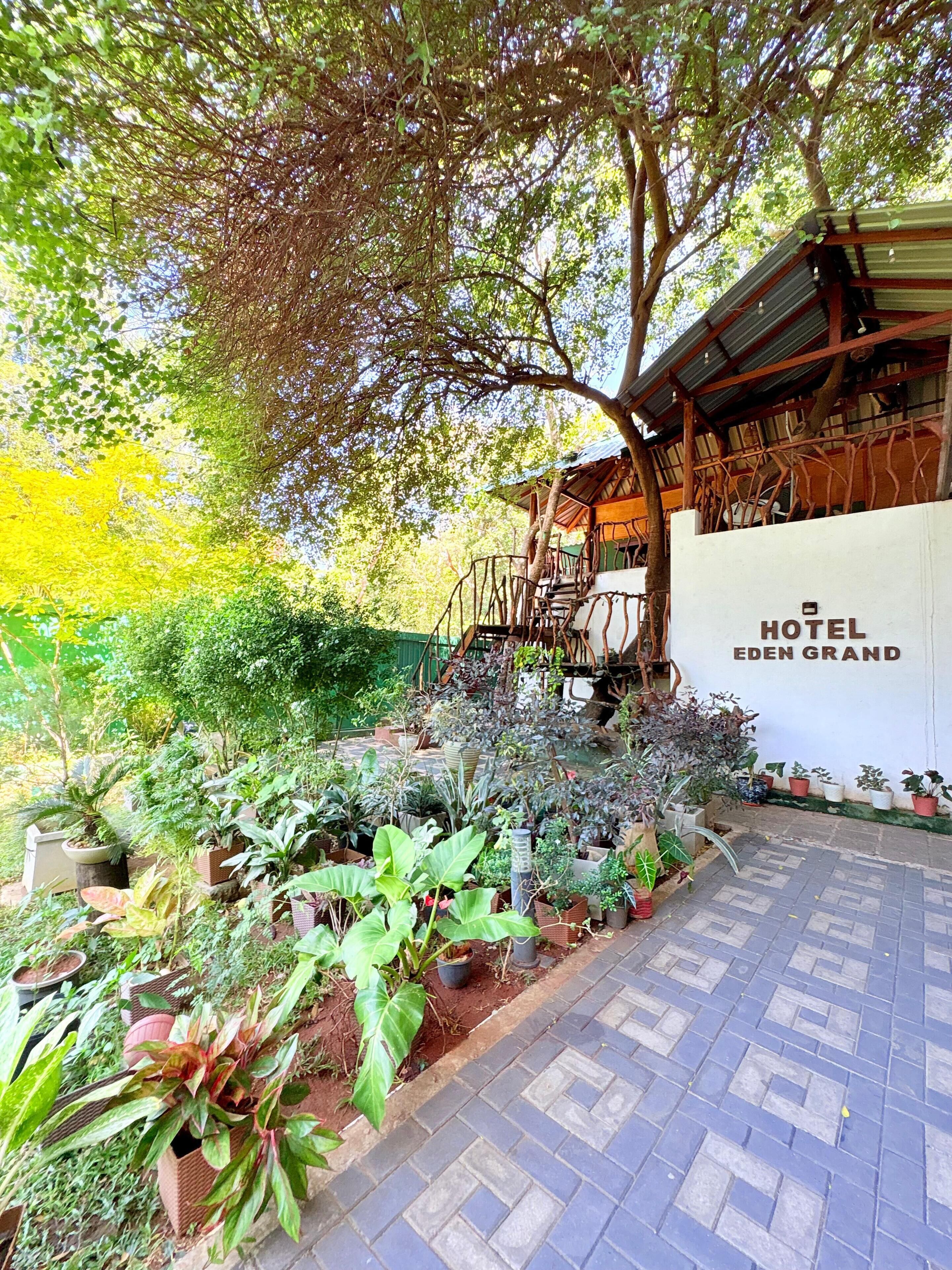 A hotel entrance with a paved walkway, a covered outdoor seating area, and a variety of potted plants.