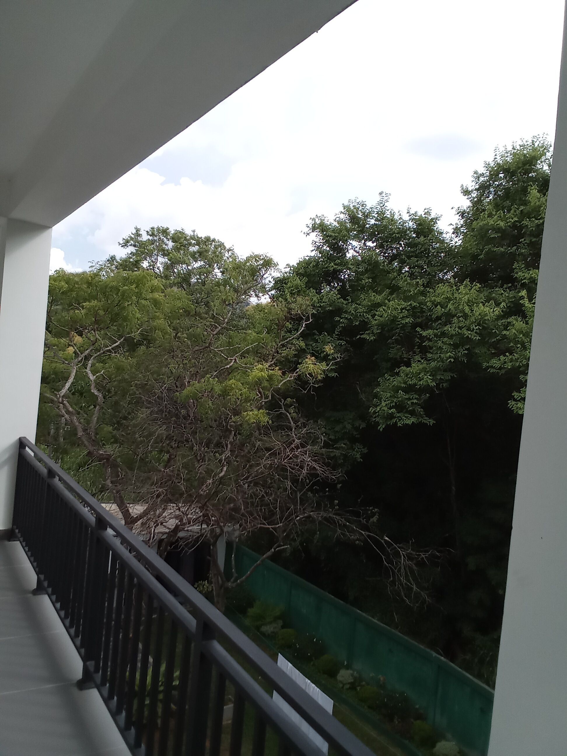 Un balcón con vistas a árboles verdes y una cerca también verde.