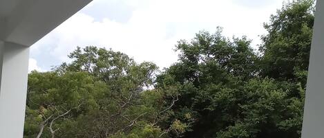 Un balcón con vistas a árboles verdes y una cerca también verde.