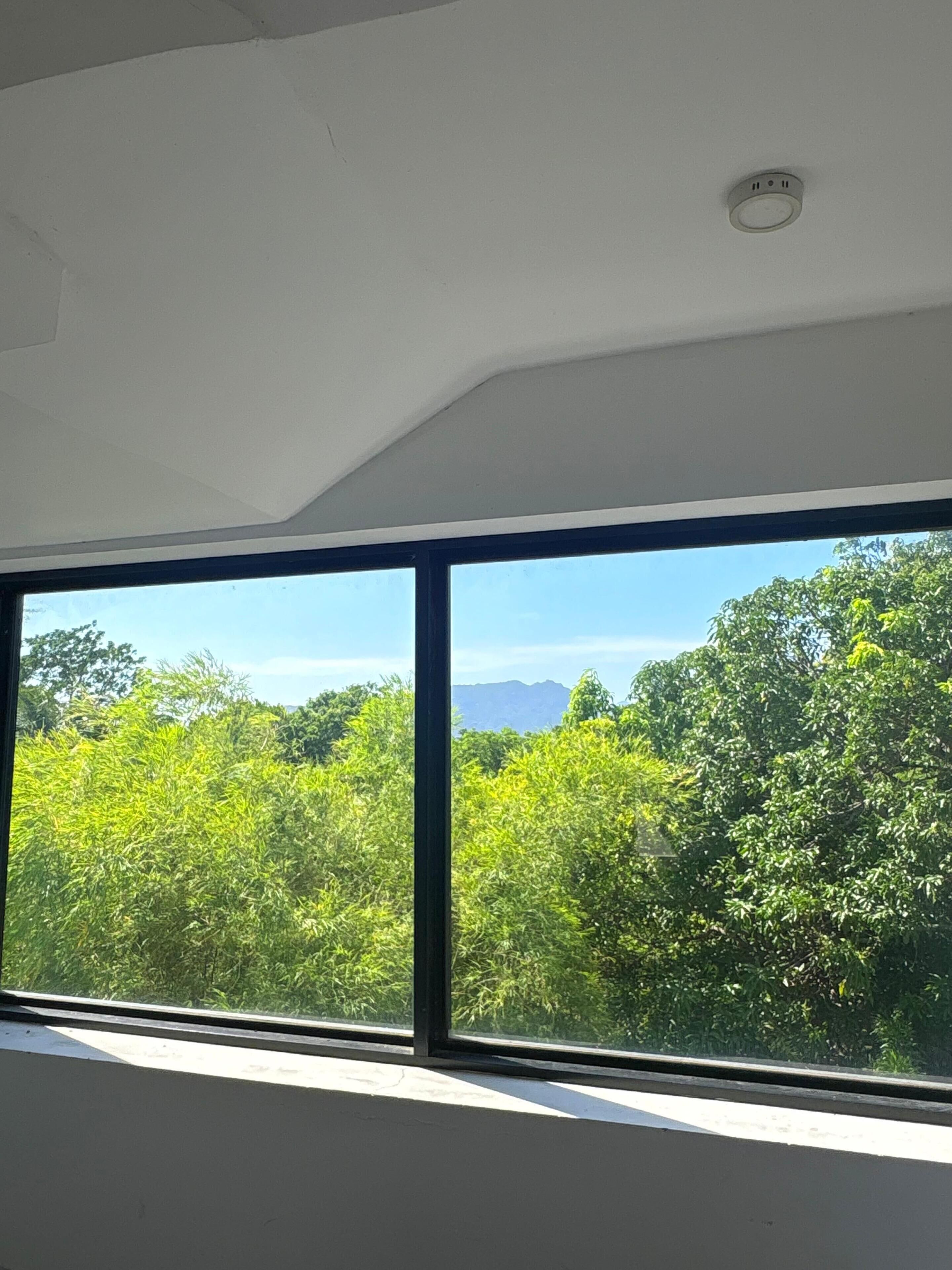 A room with large windows offering a view of dense greenery and distant mountains.
