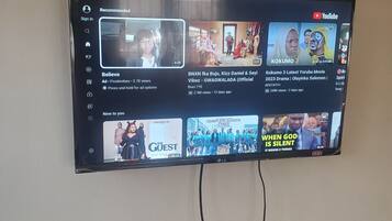 Flat-screen TV