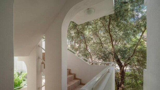 A staircase with a glass railing leading to a balcony with a tree view.