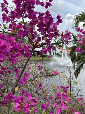Exterior detail - Naples Beach condo. First floor easy access- Walk to Vanderbilt Beach (Naples)