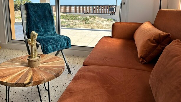 Una sala moderna con un sofá y una silla, un cactus sobre una mesa de madera y vistas a una playa a través de amplios ventanales.