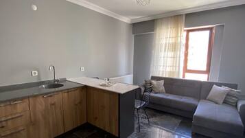 Comfort Apartment | 1 bedroom, minibar, desk, laptop workspace