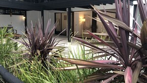 Una casa moderna con un amplio patio, plantas altas y vistas al interior.