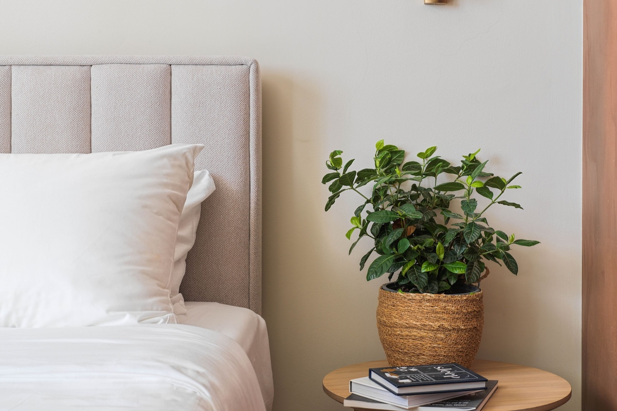 A bed with a headboard, a bedside plant in a woven pot, and a small round table with books.