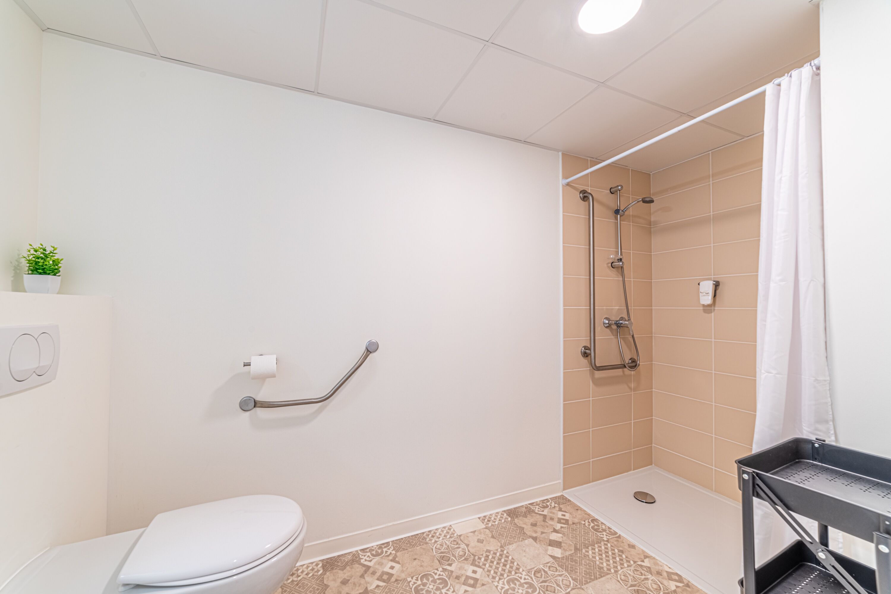 Een badkamer met toilet, douche en een greep.