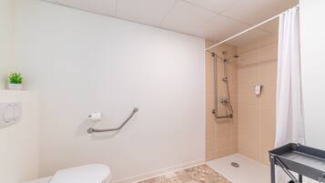 Een badkamer met toilet, douche en een greep.