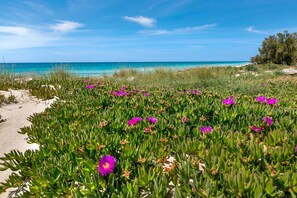 Beach - 3221 Villa Benedetta by Barbarhouse (Manduria)