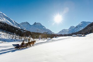 Vista al paisaje