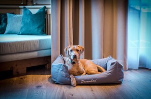 Animaux de compagnie acceptés