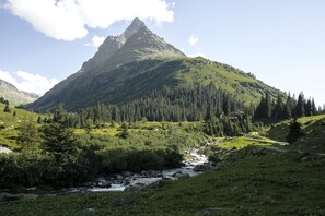 Vista al paisaje