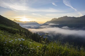 Vista al paisaje
