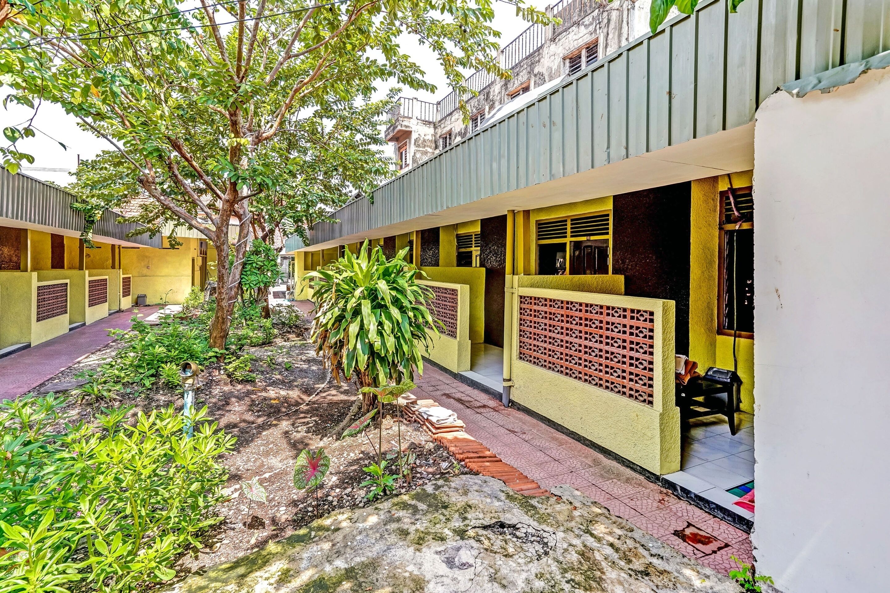 A courtyard with a tree, plants, and a pathway leading to a building with yellow walls and a red gate.