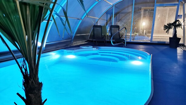 Una piscina interior con agua azul cristalina, rodeada de un suelo y paredes azules, y una planta en maceta en primer plano.