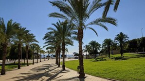 A paved walkway lined with palm trees and a grassy area.