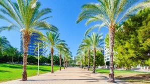 A pathway lined with palm trees and a building with blue and white exterior in the background. - BALCÓN DEL MAR sunny apartment (Benidorm)