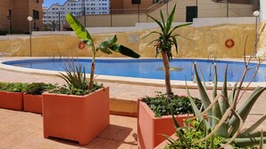 A swimming pool surrounded by potted plants and a building in the background. - ESTRELLA honey apartment (Benidorm)