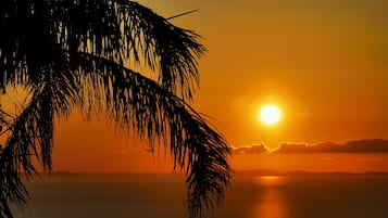 Vistas desde la habitación