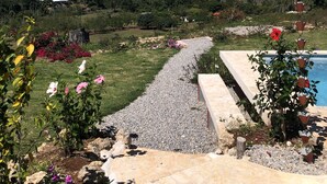 A garden with a gravel path leading to a pool, surrounded by lush greenery and a view of the ocean. - Cabrera oceanview villa (Cabrera)