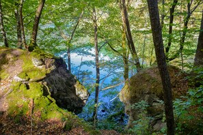 A forested area with large rocks and a body of water in the background.