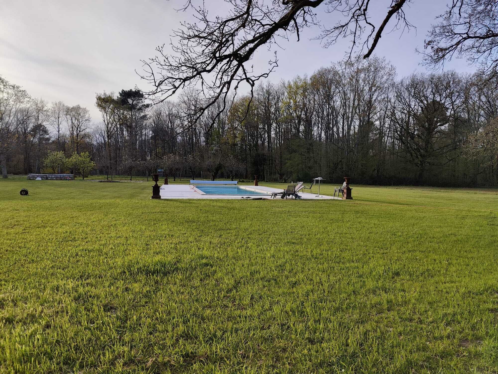 A grassy area with a swimming pool, lounge chairs, and a pergola.
