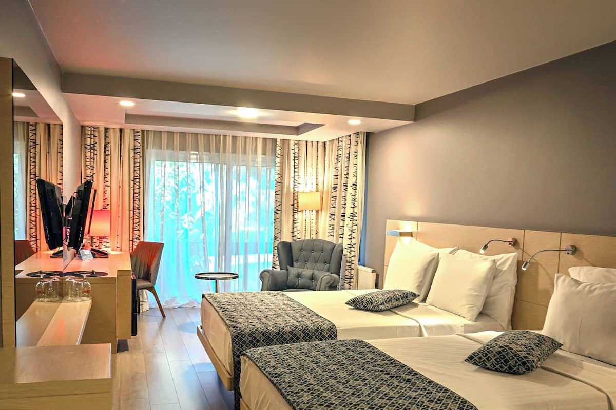 Deluxe Room | Egyptian cotton sheets, premium bedding, down comforters, minibar