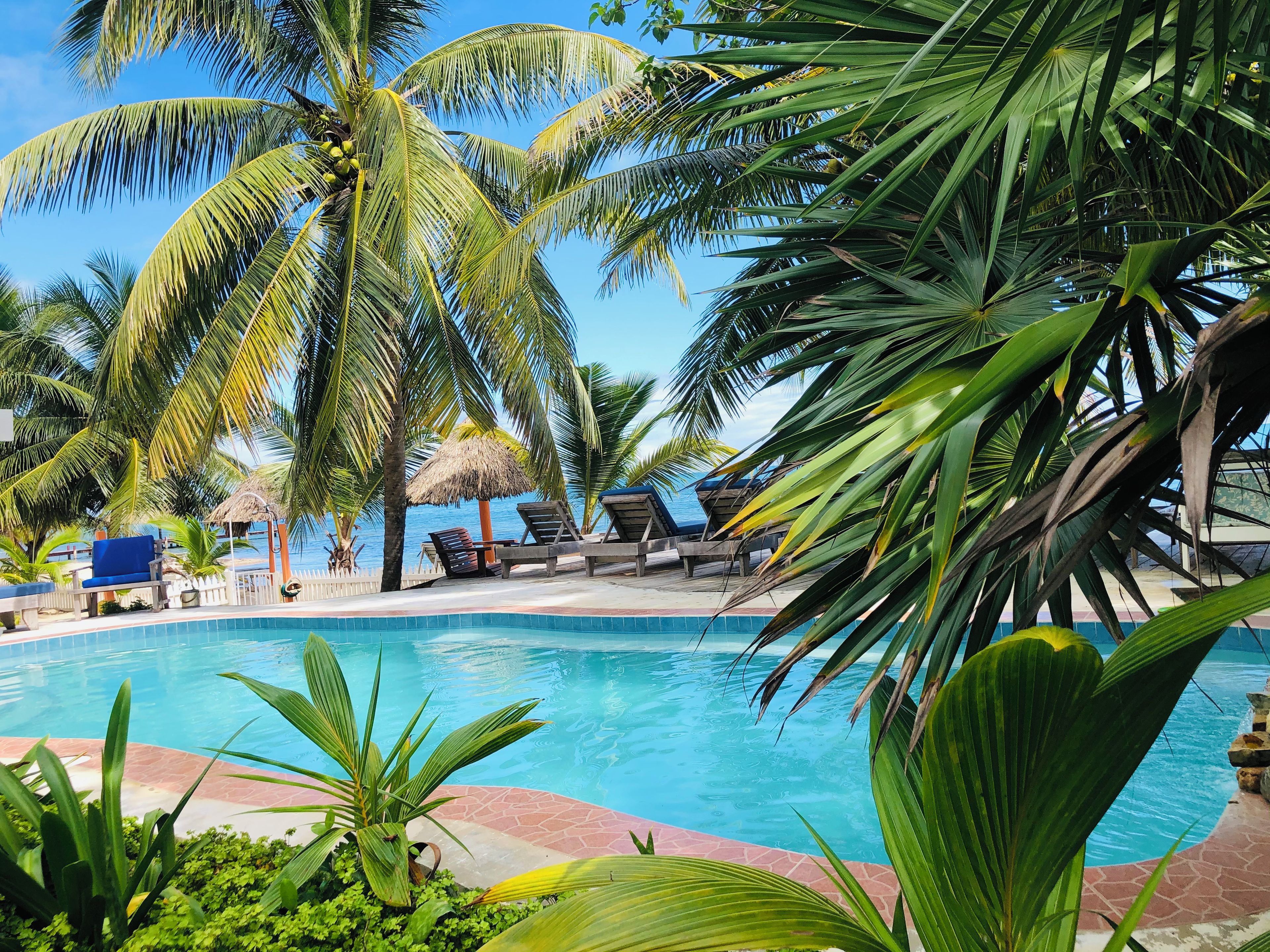 Un área de piscina con sillones de descanso y palmeras.