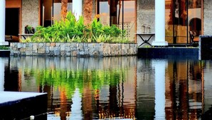 A hotel with a pool, palm trees, and a stone wall.