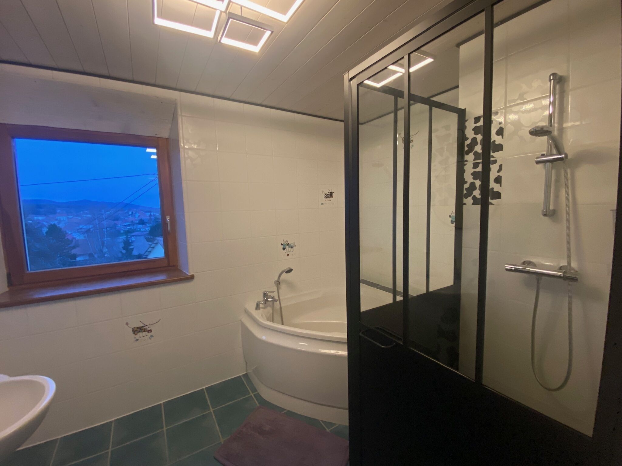 Beautiful spacious and peaceful apartment in a house