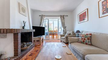 TV, fireplace, DVD player