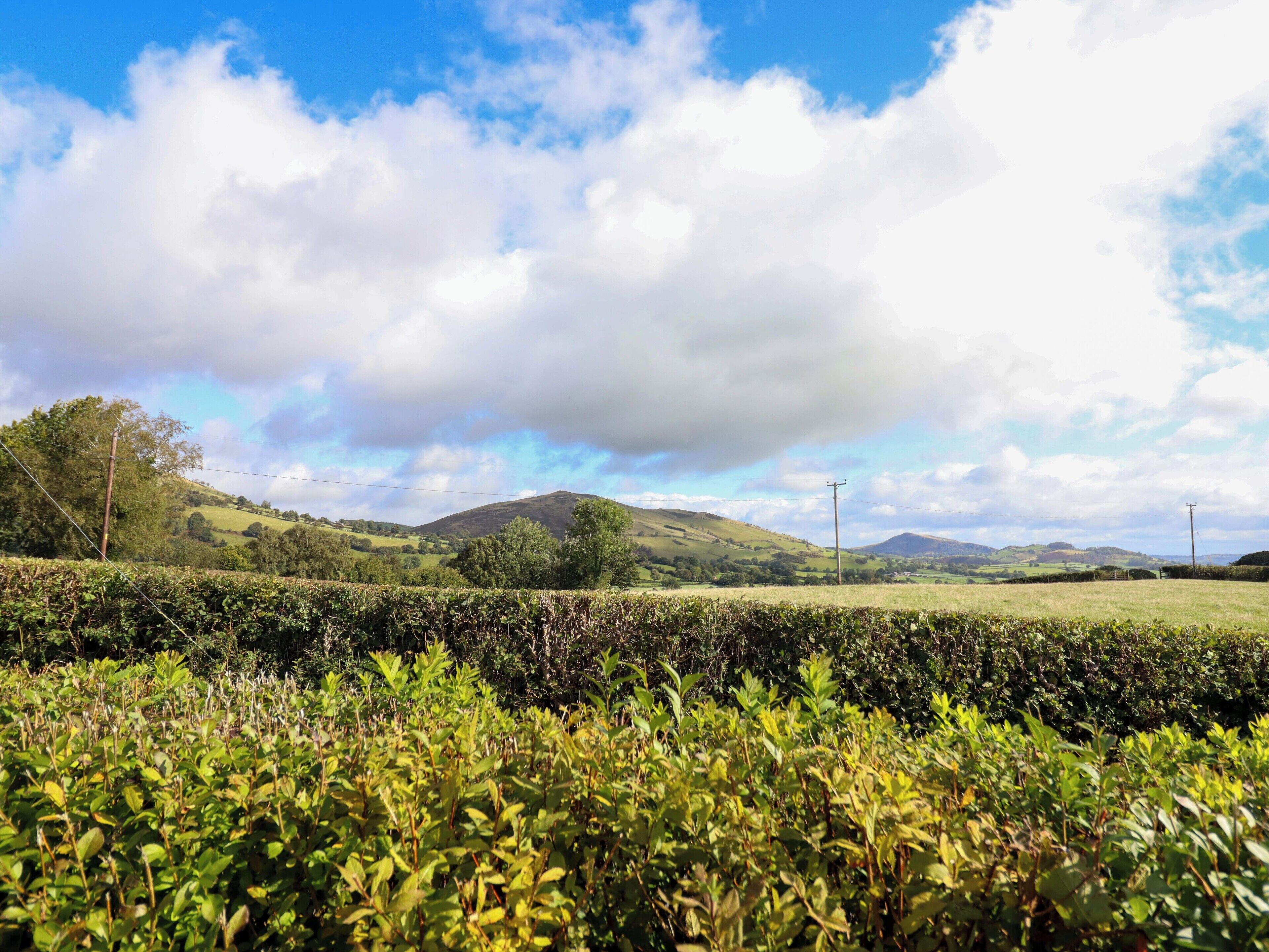 Paisaje rural con colinas onduladas, un seto en primer plano y cielo despejado con nubes.