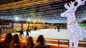 An outdoor ice skating rink with a large illuminated reindeer decoration. - Centralissimo e luminosissimo appartamento intero con Open Space. (Taranto)