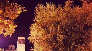 A nighttime view of a plaza with a large tree, a monument, and a building with arched windows in the background. - Centralissimo e luminosissimo appartamento intero con Open Space. (Taranto)