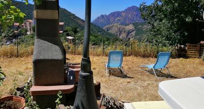 Authentique maison Corse en moyenne Montagne