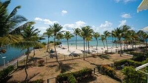 Ein Strand mit Palmen, einem Volleyballnetz und blauem Himmel.