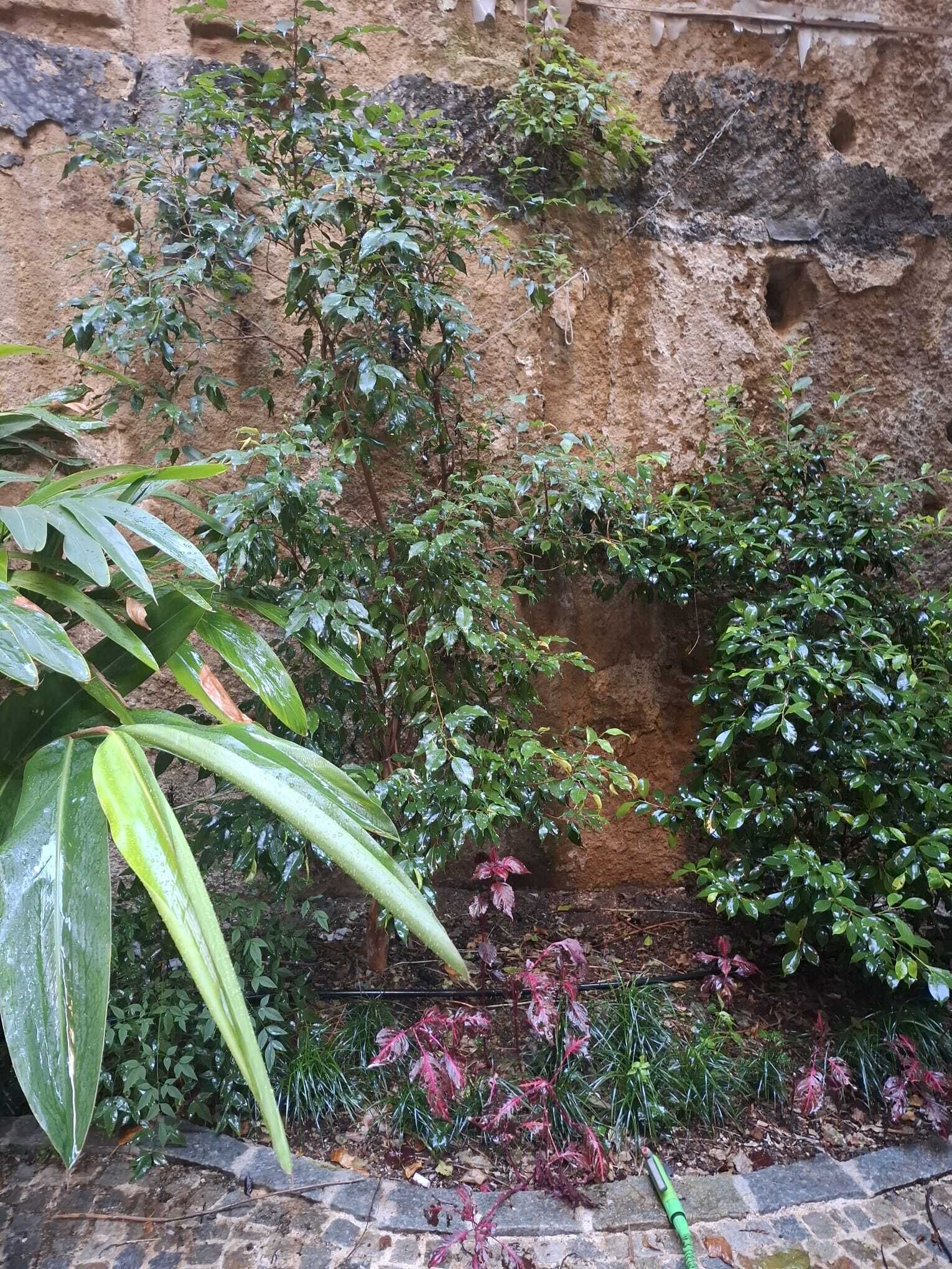 Foto - MONART HOSPITALITY Capodimonte