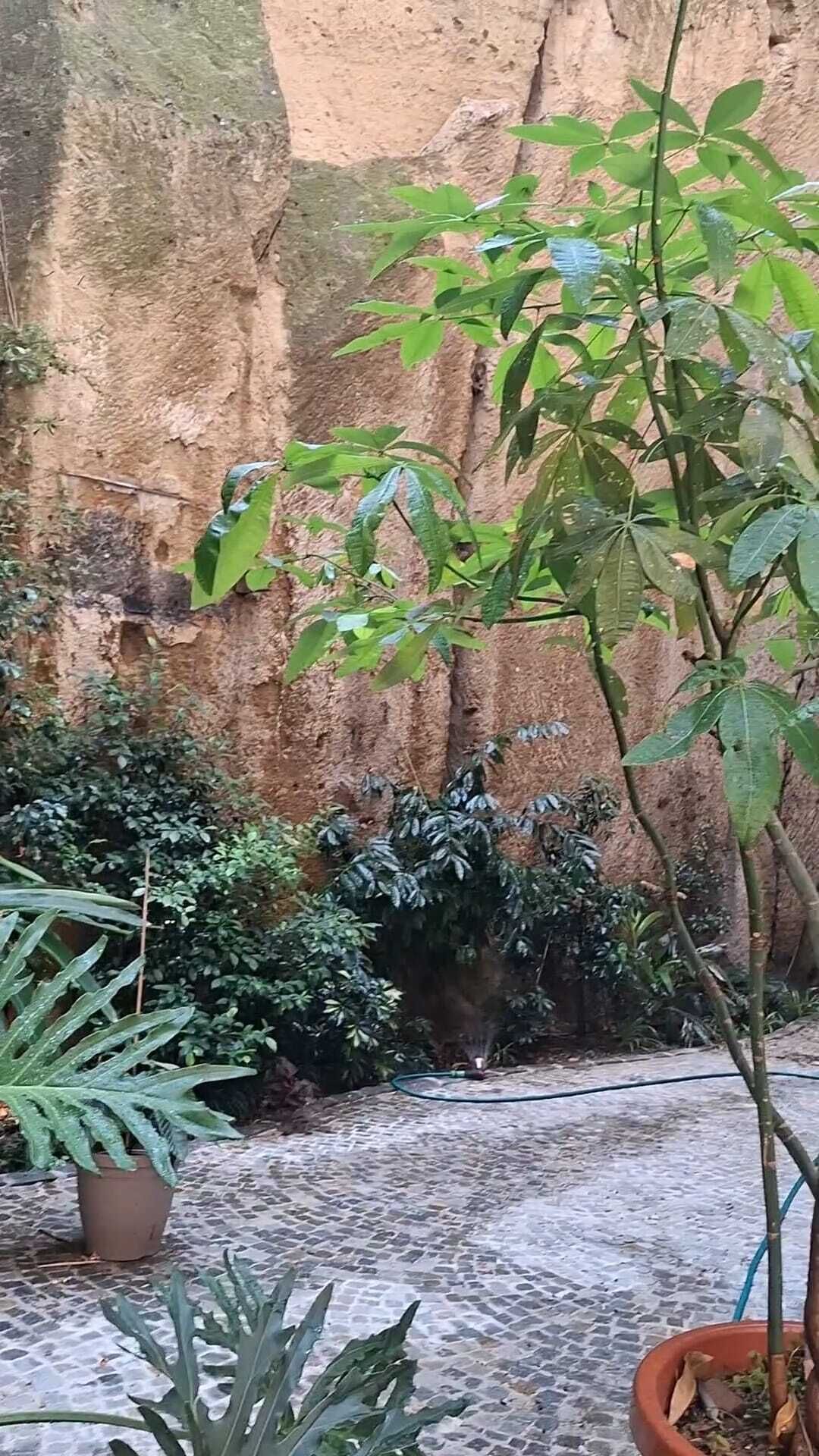 Foto - MONART HOSPITALITY Capodimonte