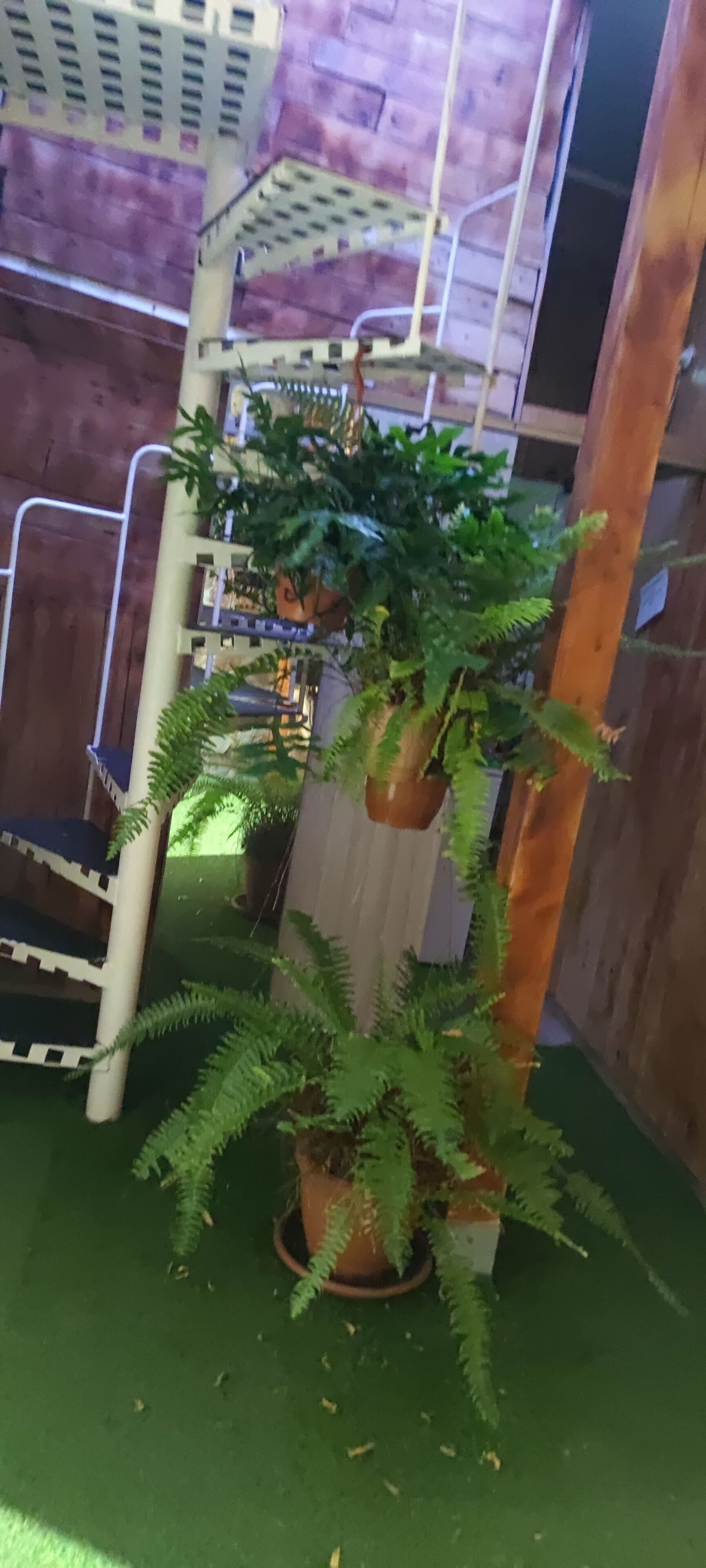 Casa EL Drago. LA Gruta .lof