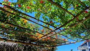 Uma área externa coberta com pérgola de madeira, estrutura de telhado de palha e piso de areia.