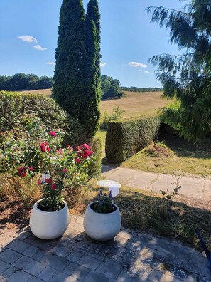 En trädgårdstig med planterade blommor i krukor och utsikt över landskapet.