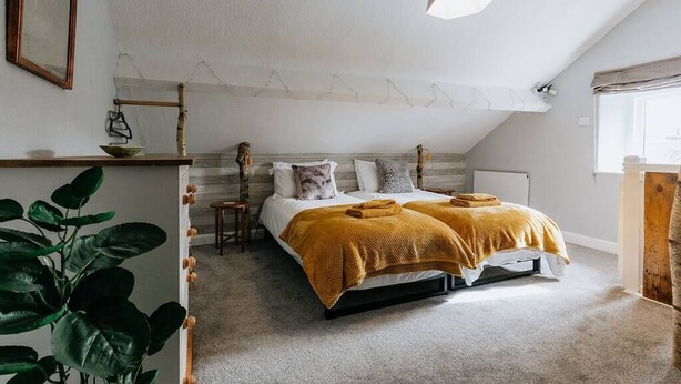Una camera da letto con un letto, una pianta, uno specchio e una luce a soffitto.