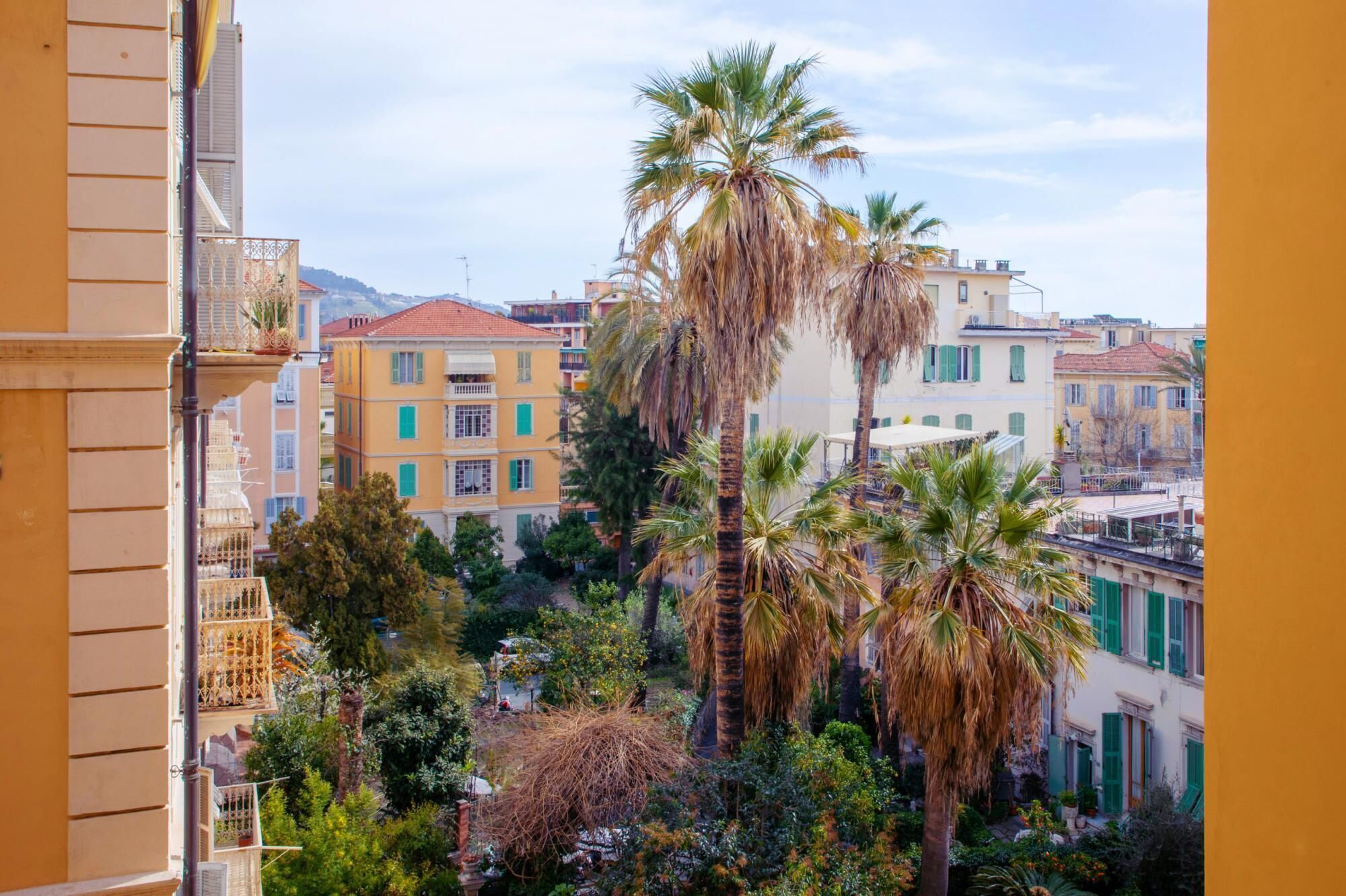 Green Apartment in the Center