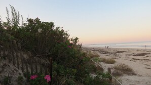 A beach with a sandy shore, some vegetation, and a wooden fence.