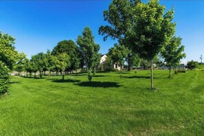 Een grasveld met bomen en een gebouw op de achtergrond.