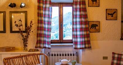 Das Berg-Loft mit dem schönsten Park des Lago Maggiore als Garten