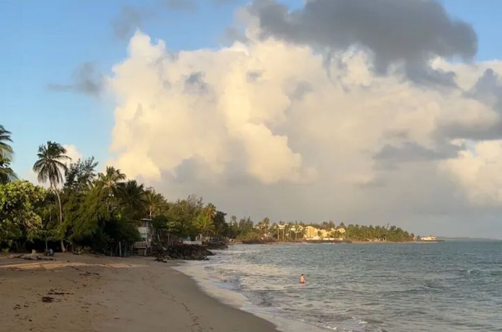Uma praia com palmeiras, uma pessoa na água e edifícios ao fundo.