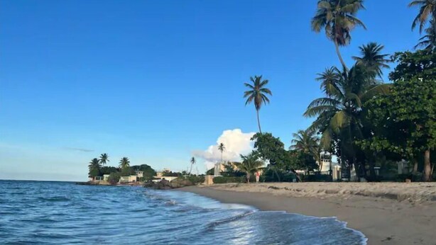 Una spiaggia con acque cristalline, palme e edifici lungo la riva.