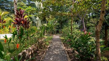 Un sendero en un jardín rodeado de plantas y árboles tropicales.